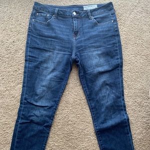 Mystree Premium Boyfriend Skinny Jeans